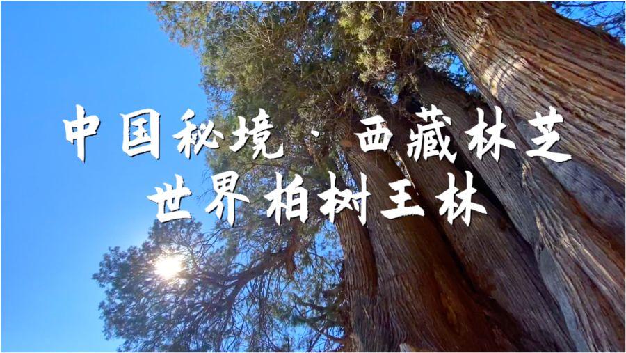 普法宣传进村入企 石林县圭山镇多举措优化营商环境